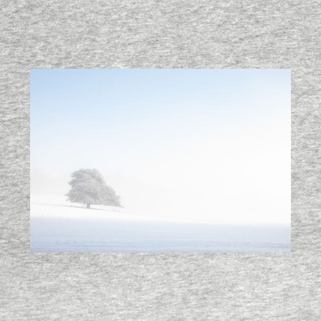 ' Snowy Winter Tree' , Blair Atholl, near Pitlochry. by mucklepawprint